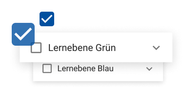 Zwei Dropdown Menüs mit Checkboxen und der Aufschrift Lernebene Grün/Blau. Daneben sind blaue Haken zu sehen.